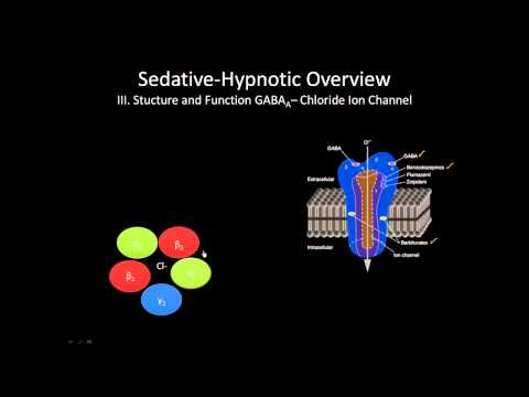 The GABA receptor | How does it work?