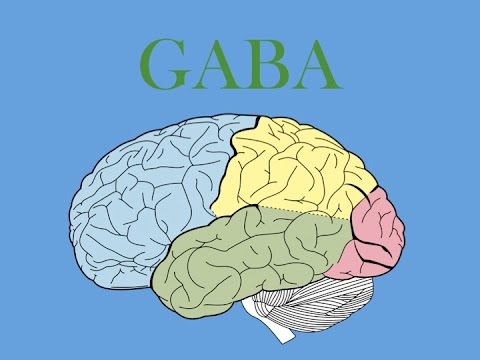 EMP Neurociencias: GABA