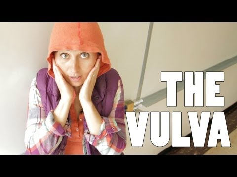 The Vulva - The Vagina's Neighborhood - 4