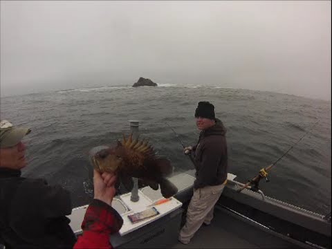 Farallon islands Rockcod fishing