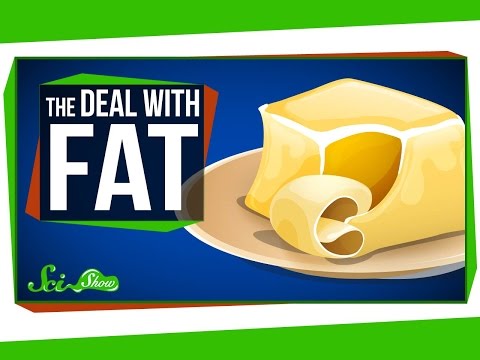 The Deal with Fat