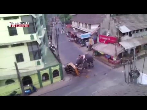 Elephant Runs Amok At Puthiyapalam In Kozhikode City, Kerala