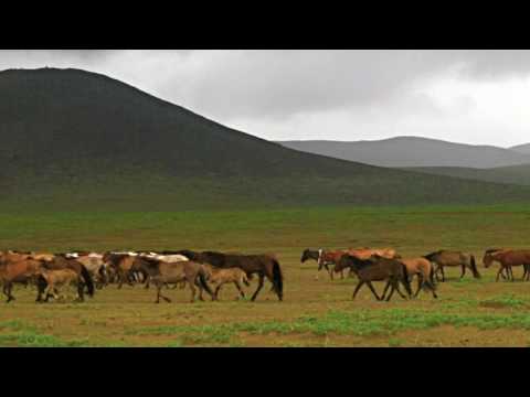 "No Water, No Animals, No People" - Gobi Desert, Mongolia