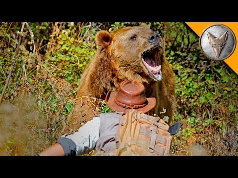 GRIZZLY BEAR ATTACK!