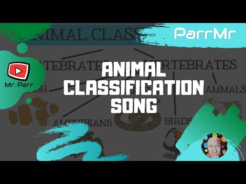 Animal (Classification) Song