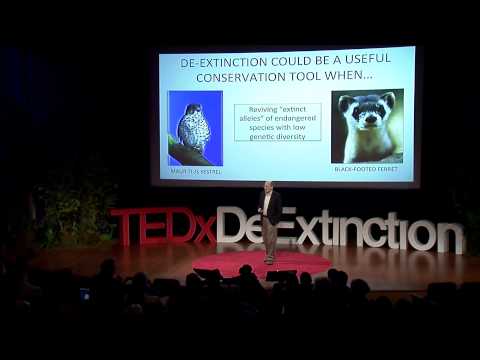 De-extinction: a game-changer for conservation biology: Stanley Temple at TEDxDeExtinction