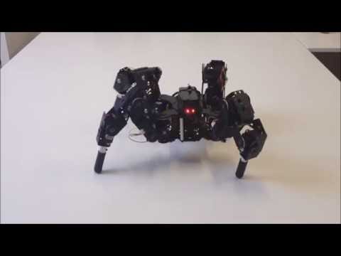 Quadruped robot 4DOF