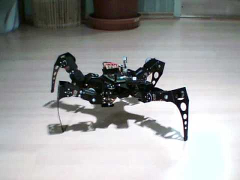 Quadruped robot long step walking