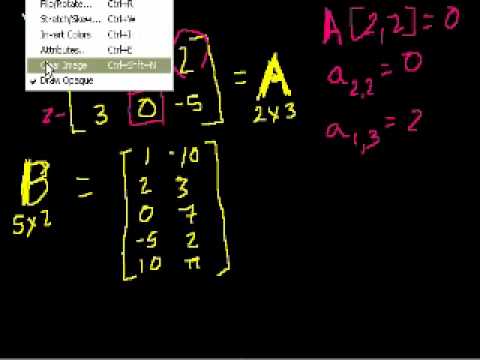 Introduction to matrices