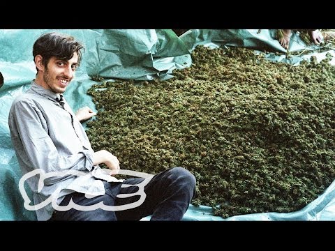 Swaziland: Gold Mine of Marijuana (Part 1/2)