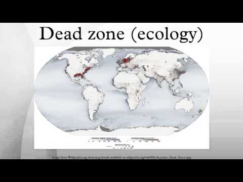 Dead zone (ecology)