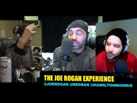 Joe Rogan Experience #177 - Hamilton Morris