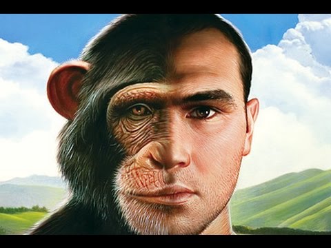 Human Evolution - History of Humanity Documentary