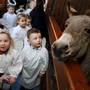 Little angels: Children from St Joseph’s School, Dublin 8, meet live animals at the IFA crib in the Mansion House. Pic: Finbarr O’Rourke