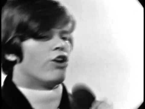 Herman's Hermits   No Milk Today 1966 HQ