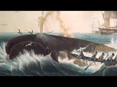 Leviathan - The History of Whaling in America