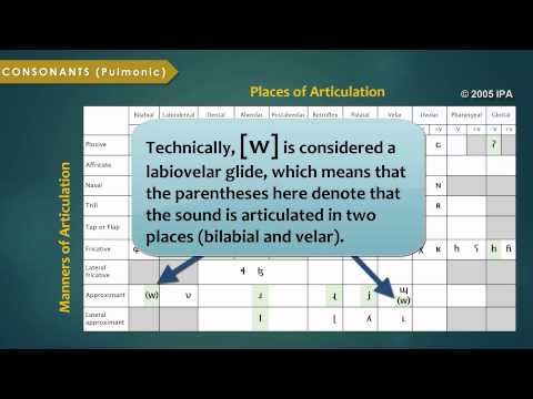 Introduction to the International Phonetic Alphabet