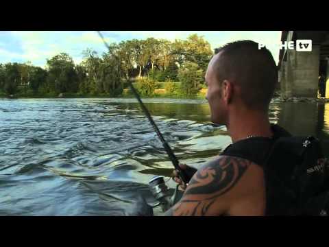 Pêche du silure sur la Garonne | Globe Fishing | Lot-et-Garonne 5/5