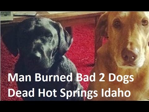 Paul Begley Today - Man Burned Bad 2 Dogs Dead Hot Springs Idaho