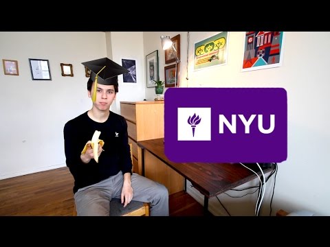 Going to College at NYU – Q&A