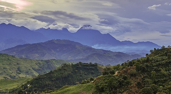 Calculating the environmental benefits of peace in Colombia