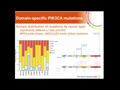 Domain-specific PIK3CA mutations affect different pathway activities... - Christopher Benz