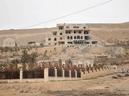 A general view shows a palace complex, which has been recaptured by Syrian government forces, on the western edge of Palmyra in this picture provided by SANA on Thursday.