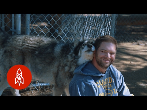 "Living with Wolves Saved My Life"