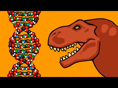 What is DNA and How Does it Work?