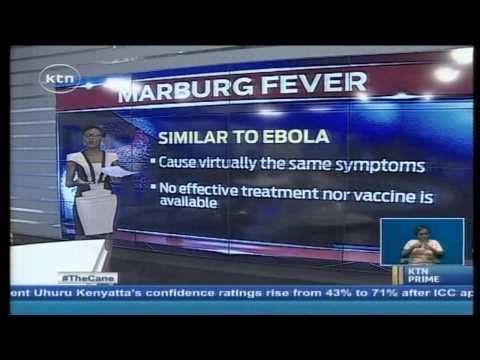 What exactly is the Marburg Virus: Marburg Symptoms vs Ebola Symptoms