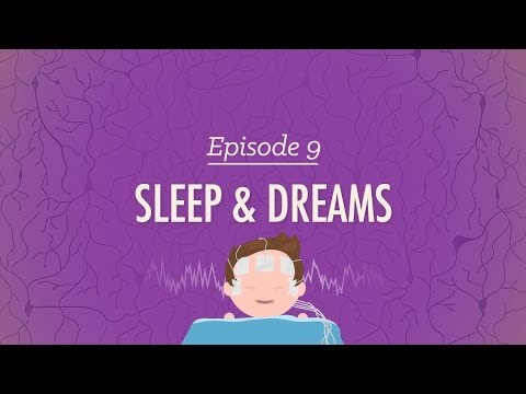 To Sleep, Perchance to Dream - Crash Course Psychology #9