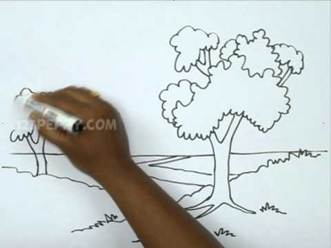 How to Draw a Natural Landscape