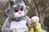 Check out where all the Easter egg hunts are happening in Canberra and region this Easter. 