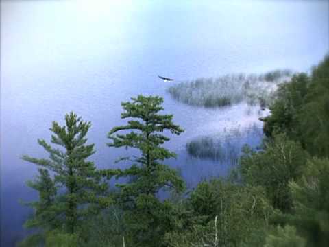 Rainy River District Video