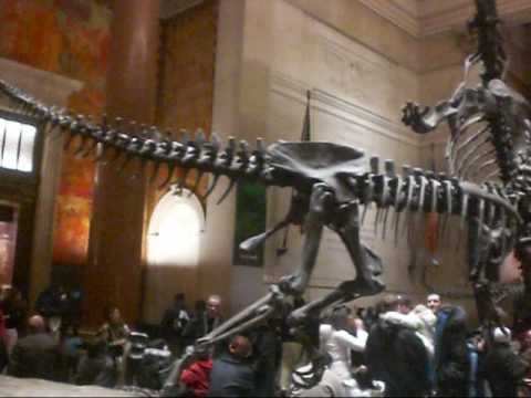 The American Museum of Natural History