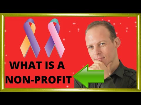 What is a non profit organization