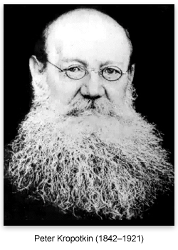 Kropotkin LT