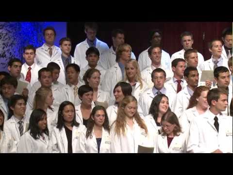 The Four Years of Medical School