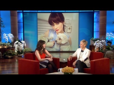 Zooey Deschanel on Her Dogs