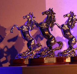 Equestrian Awards