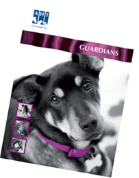 Gaurdians Leaflet cover