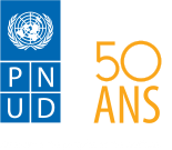 UNDP logo