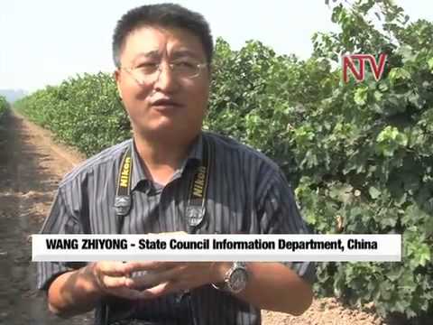 On the Farm: China Semi-arid Farms turned into Agric Zones