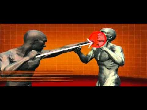 Master Moves of Savate (French Kick Boxing) : Human Weapon