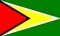 Guyana flag