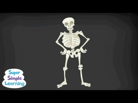 The Skeleton Dance