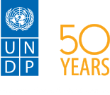 UNDP logo