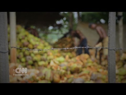 CNN Freedom Project- West Africa Slavery