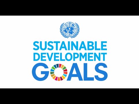 A Look at the Sustainable Development Goals