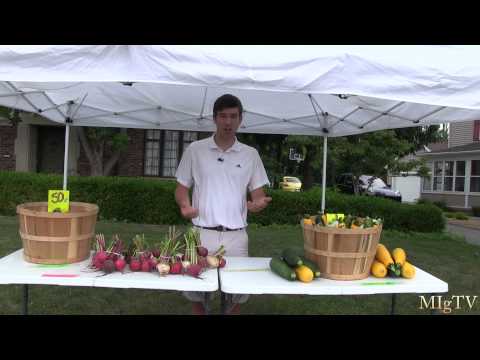 How to Make Money With Your Garden - Produce Stand vs. Farmers Market